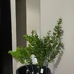 Bed and breakfast Ora 4*