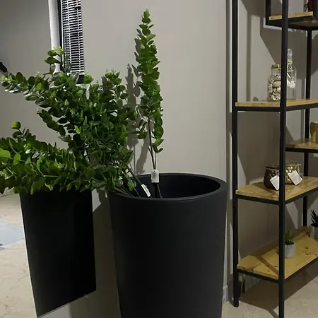 Ora فندق مبيت وإفطار