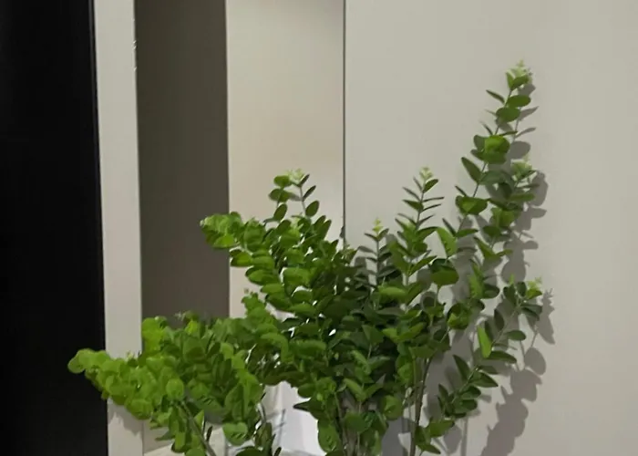 Oda ve Kahvaltı Ora 4*